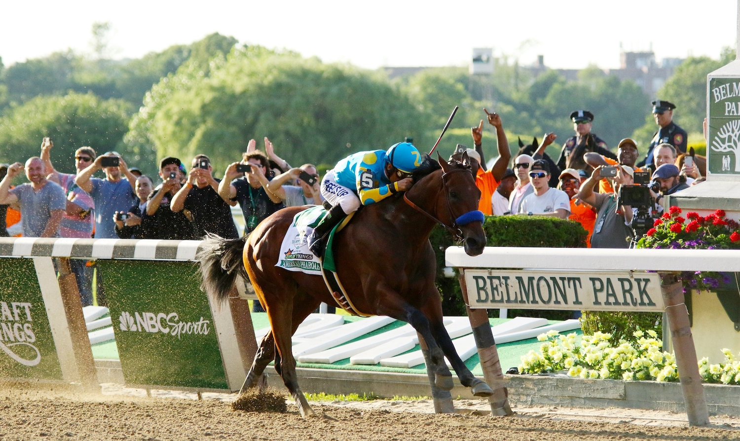 How Horse Racing and the Triple Crown Brought a Father and Son Together